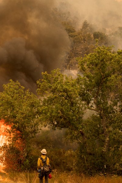 A firefighter from Santa Barbara County Fire watches a backburn just lit on Buck Mountain to fight the Carmel Fire near Carmel Valley, Calif., Wednesday, Aug. 19, 2020.