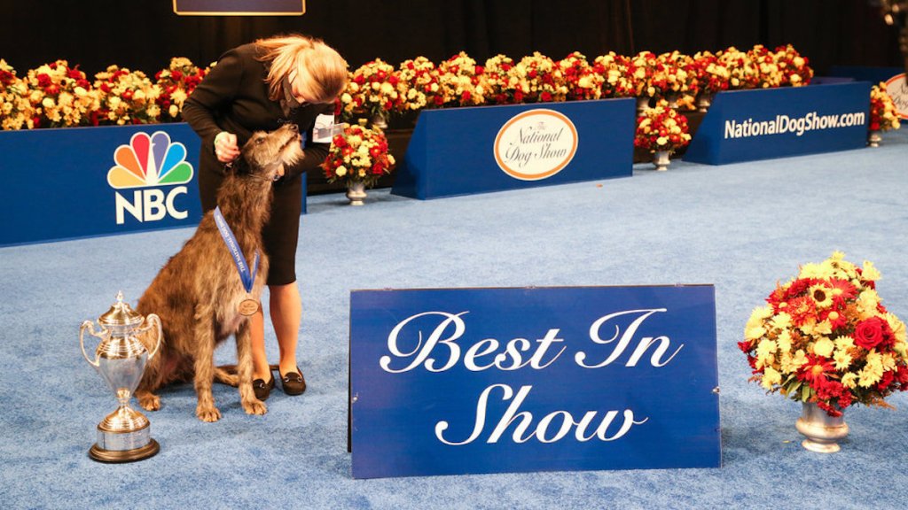 Best In Show winner, Scottish Deerhound nominated "Claire" and his mistress Angela Lloyd