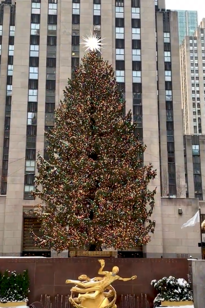 The Rockefeller Christmas tree