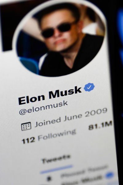Elon Musk twitter avatar