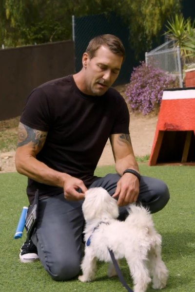 Man wearing black shirt kneels on astroturf with white dog