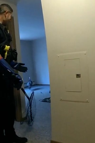 Police officers stand in apartment with net