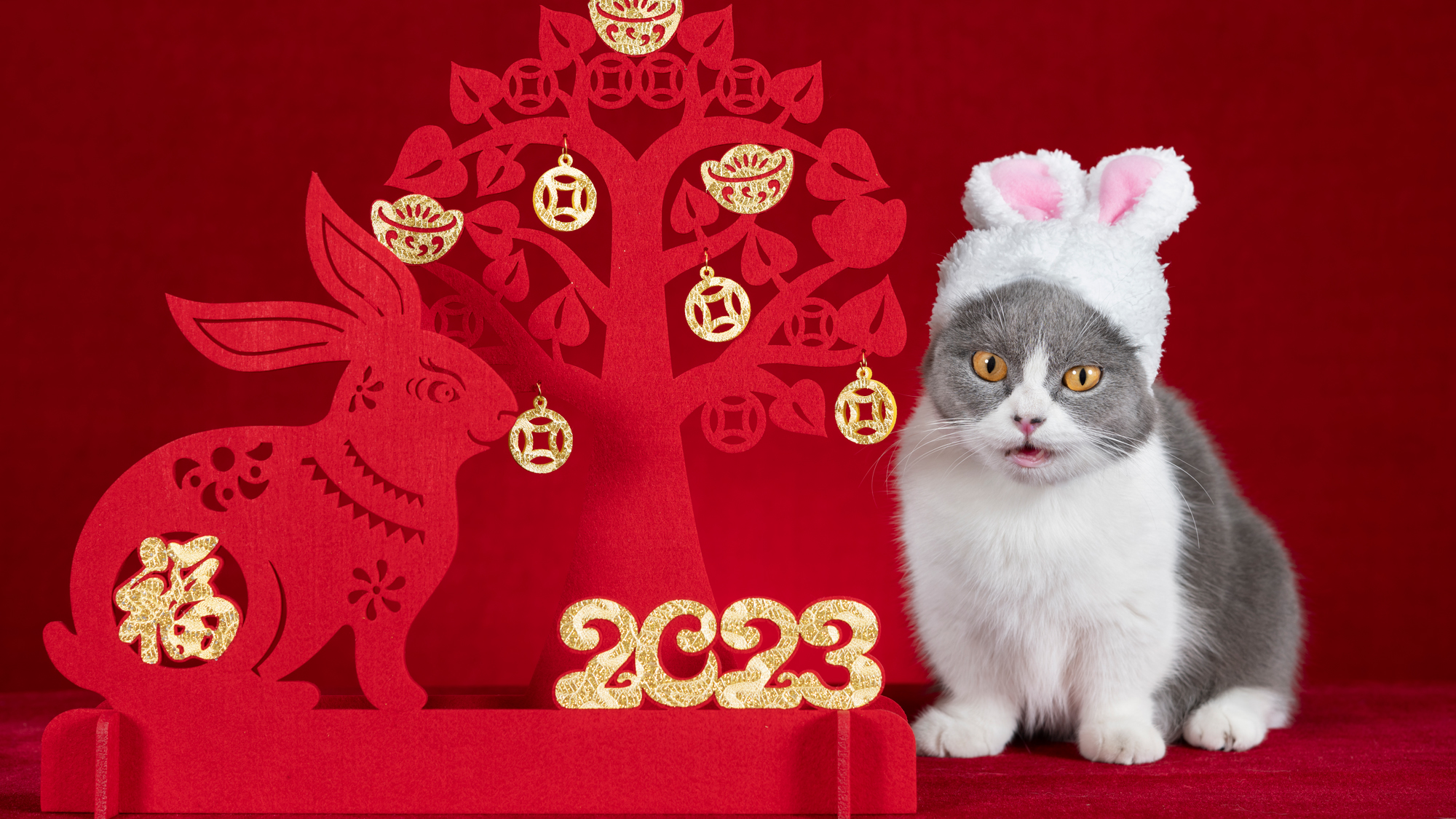 When is Lunar New Year 2024 and how is it celebrated? Find out which animal  you are and where to celebrate - ABC News