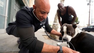 Dr. Kwane Stewart checks a dog's health in the Skid Row area of Los Angeles on June 7, 2023. “The Street Vet,” as Stewart is known, has been supporting California's homeless population and their pets for almost a decade, ever since he helped a man with a flea-infested dog outside of a convenience store.