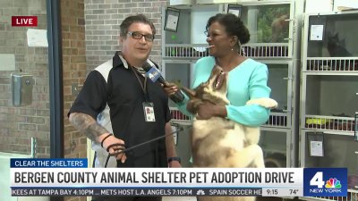 Clear the Shelters: Bergen County animal shelter pet adoption drive