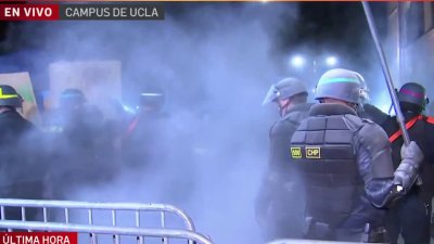 Video: estruendos sacuden el campus de UCLA en medio del caos por campamento propalestino
